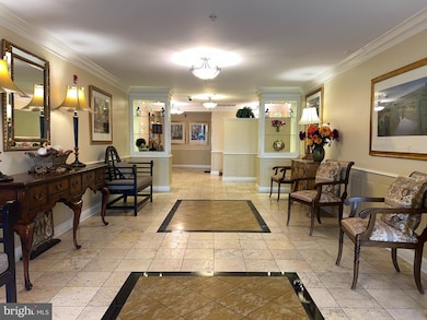 900 Red Brook Blvd unit 101, Owings Mills, MD 21117 - photo 5