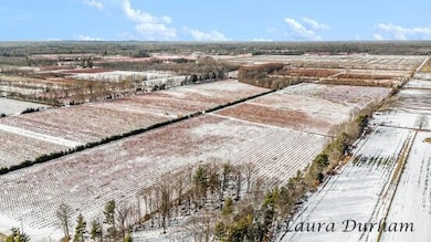 11525 Fillmore St, West Olive, MI 49460 - photo 7