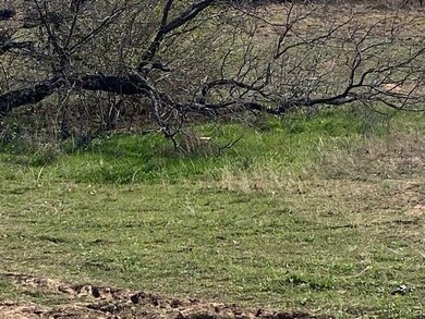 1203 Sandy Ln, Weatherford, TX 76088 - photo 5