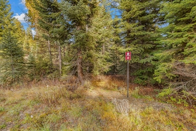 150 Pinnacle Ct unit 28, Donnelly, ID 83615 - photo 4