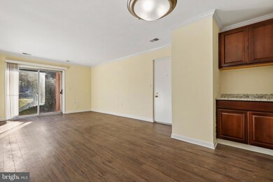 18336 Streamside Dr unit 104, Gaithersburg, MD 20879 - photo 5