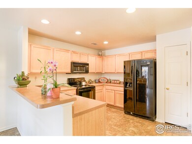 13683 Lilac St, Thornton, CO 80602 - photo 5