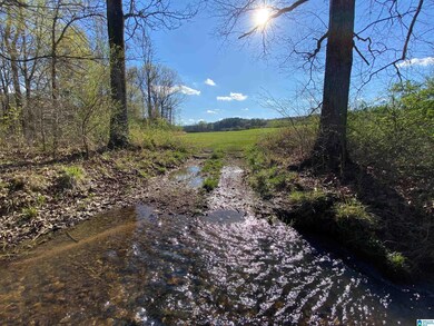0 Highway 174 unit Tract 8 21415020, Springville, AL 35146 - photo 2
