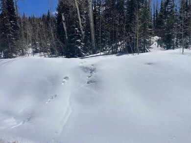 264 N 275 E unit 163, Brian Head, UT 84719 - photo 2