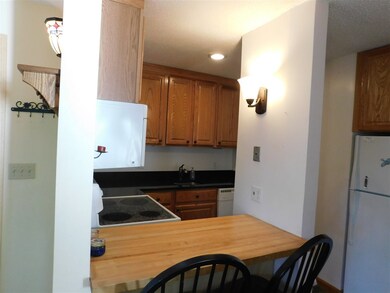 4 Sunnyside Way unit 3, Waterville Valley, NH 03215 - photo 7