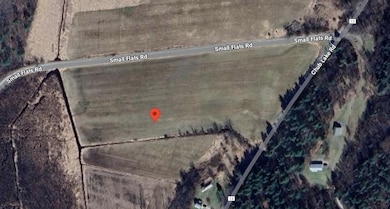 0 Chub Lake Rd unit 50969, Gouverneur, NY 13642 - photo 3