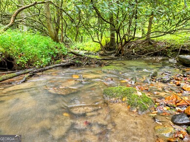 LOT 45 Synacia Dr, Mineral Bluff, GA 30559 - photo 5
