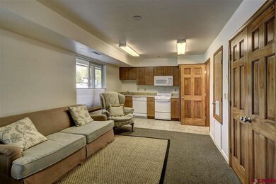 315 E 8th Ave unit 2, Durango, CO 81301 - photo 3