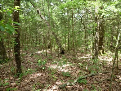 0 Ria Ln unit 1146997, Eureka Springs, AR 72631 - photo 6