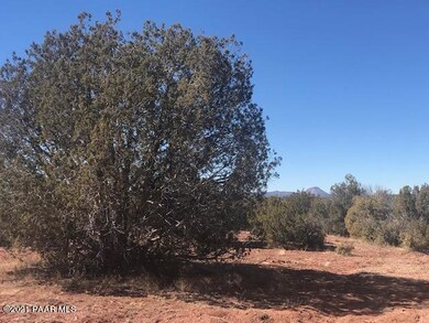 9 Christmas Tree, Ash Fork, AZ 86320 - photo 4
