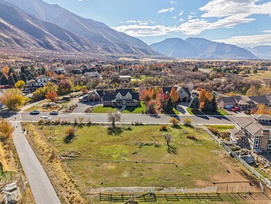 Bird's eye view of a mountainous background