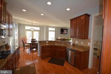 13796 Lowe St, Chantilly, VA 20151 - photo 6