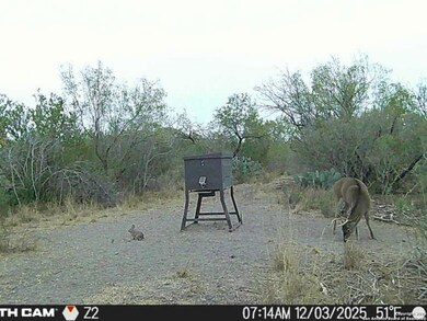 A-735 Franklin Ranch Rd, Tilden, TX 78027 - photo 7