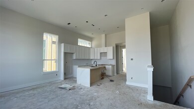 3612 Dreyfus St, Houston, TX 77021 - photo 4