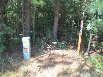 0 Wisconsin 21, Coloma, WI 54930 - photo 2