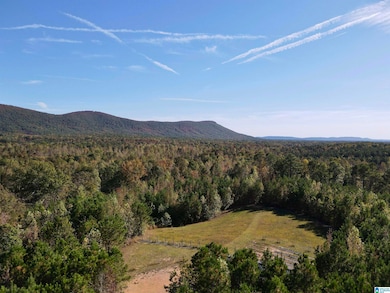 7070 Rendalia Motorway, Talladega, AL 35160 - photo 4