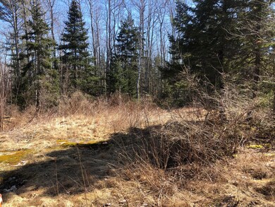 748 Spruce Head Rd, Spruce Head, ME 04859 - photo 5