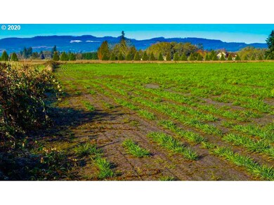 0 Highway 223 (Parcel, Dallas, OR 97338 - photo 7