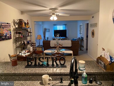 300 Henlopen Station unit 101, Rehoboth Beach, DE 19971 - photo 4