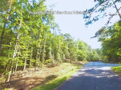 BLOCK 21 LOT 01 Juniper Trail, Waverly Hall, GA 31818 - photo 5