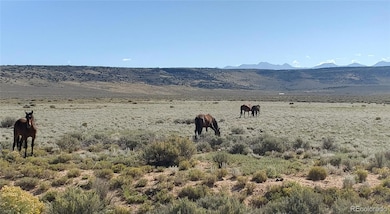 Wild Horses grazing along Hwy 159