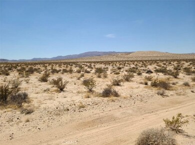 85825 Amboy Rd, Twentynine Palms, CA 92277 - photo 2