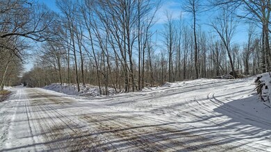 0 Pondell Rd unit 1564447, Weyerhaeuser, WI 54895 - photo 3