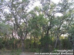 17134 Clovis, Helotes, TX 78023 - photo 4