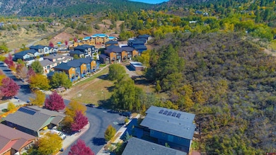 170 Metz Ln, Durango, CO 81301 - photo 3