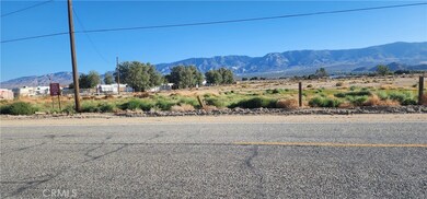 0 Rabbit Springs Rd unit RS25232464, Lucerne Valley, CA 92356 - photo 4