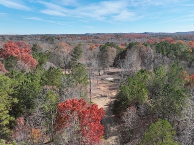 42 County Road 82, Fruithurst, AL 36262 - photo 6