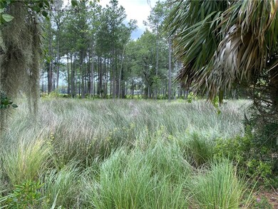 Backyard view of the Marsh