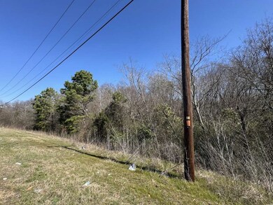 0 Highway 31 W, Tyler, TX 75709 - photo 5