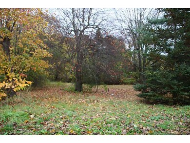 Other. YARD VIEW