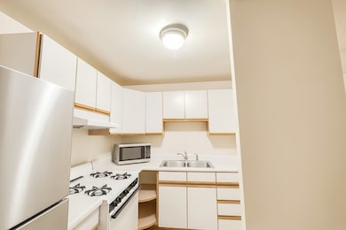 South Commons unit 2209, Chicago, IL 60616 - photo 2