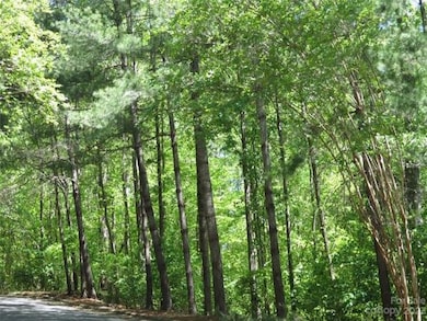 0 General Griffith Cir unit 25, Rutherfordton, NC 28139 - photo 3