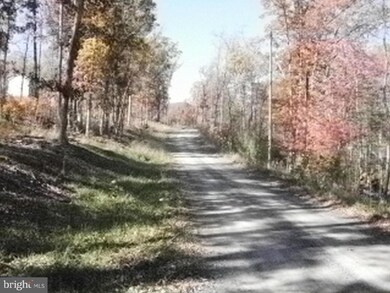 0 Pawnee unit 1000406563, Front Royal, VA 22630 - photo 6