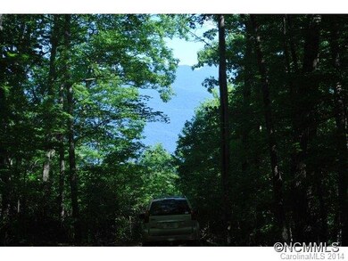 Majestic forest