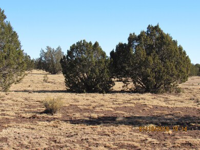 1 Juniperwood, Ash Fork, AZ 86320 - photo 2