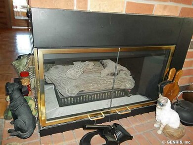 Other 2 sided fireplace to LR and DR
