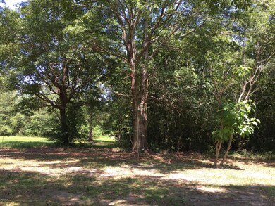 wooded area