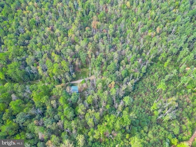 579 Mossy Oak Ln, Mifflinburg, PA 17844 - photo 6