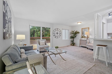 14-web-or-mls-118 River Woods Ln-14.jpg