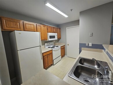 9811 Campus Walk Ln unit L, Charlotte, NC 28262 - photo 7