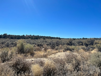 0 New Mexico 574, Aztec, NM 87410 - photo 3