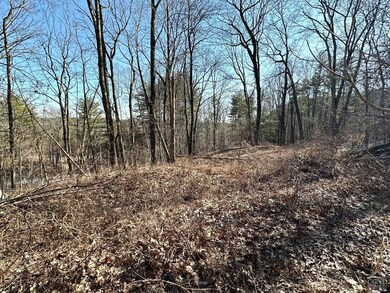 0 Buttermilk Falls Rd unit 156376, Catskill, NY 12414 - photo 6