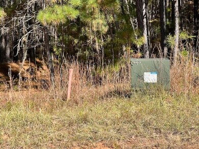 0 Mariners Way unit Lot 39, Lincolnton, GA 30817 - photo 4