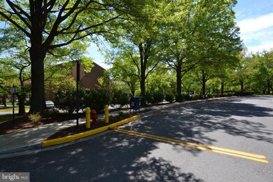 11409 Commonwealth Dr unit 201, Rockville, MD 20852 - photo 5