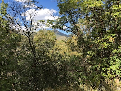 View of mountain backdrop featuring a heavily wooded area