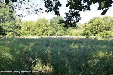 0 Edgar Rd unit 290334, Leslie, MI 49251 - photo 4